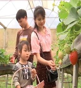 Du lịch Mộc Châu 